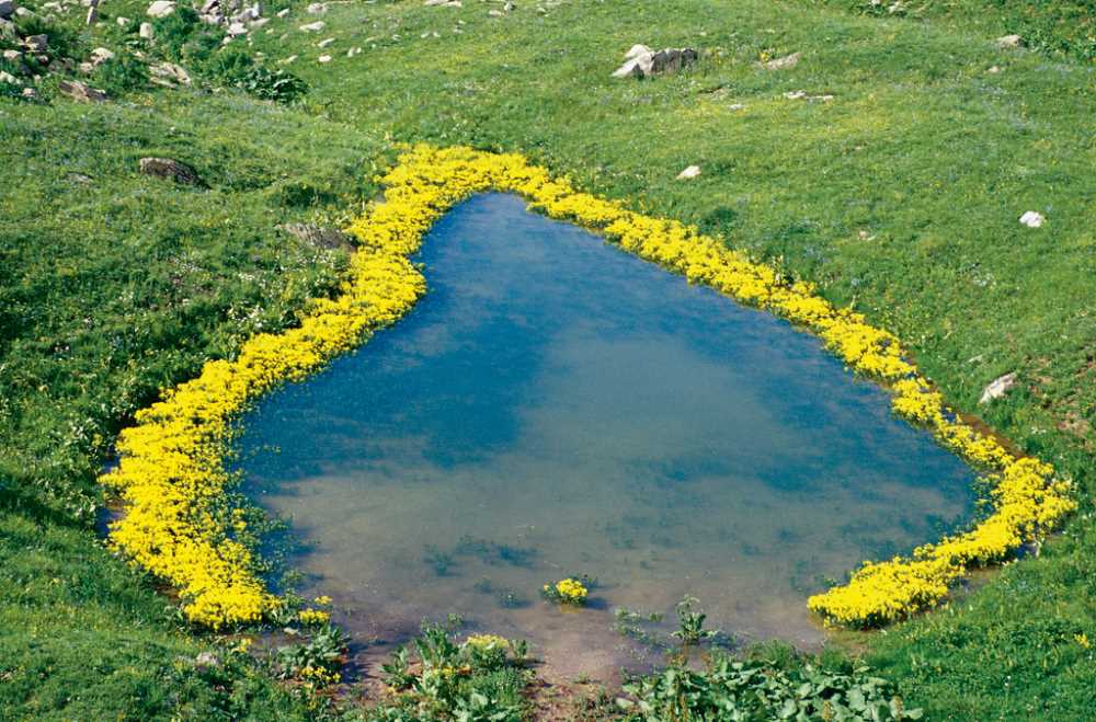 Arsiyan Yaylası Ve Gölleri - Artvin