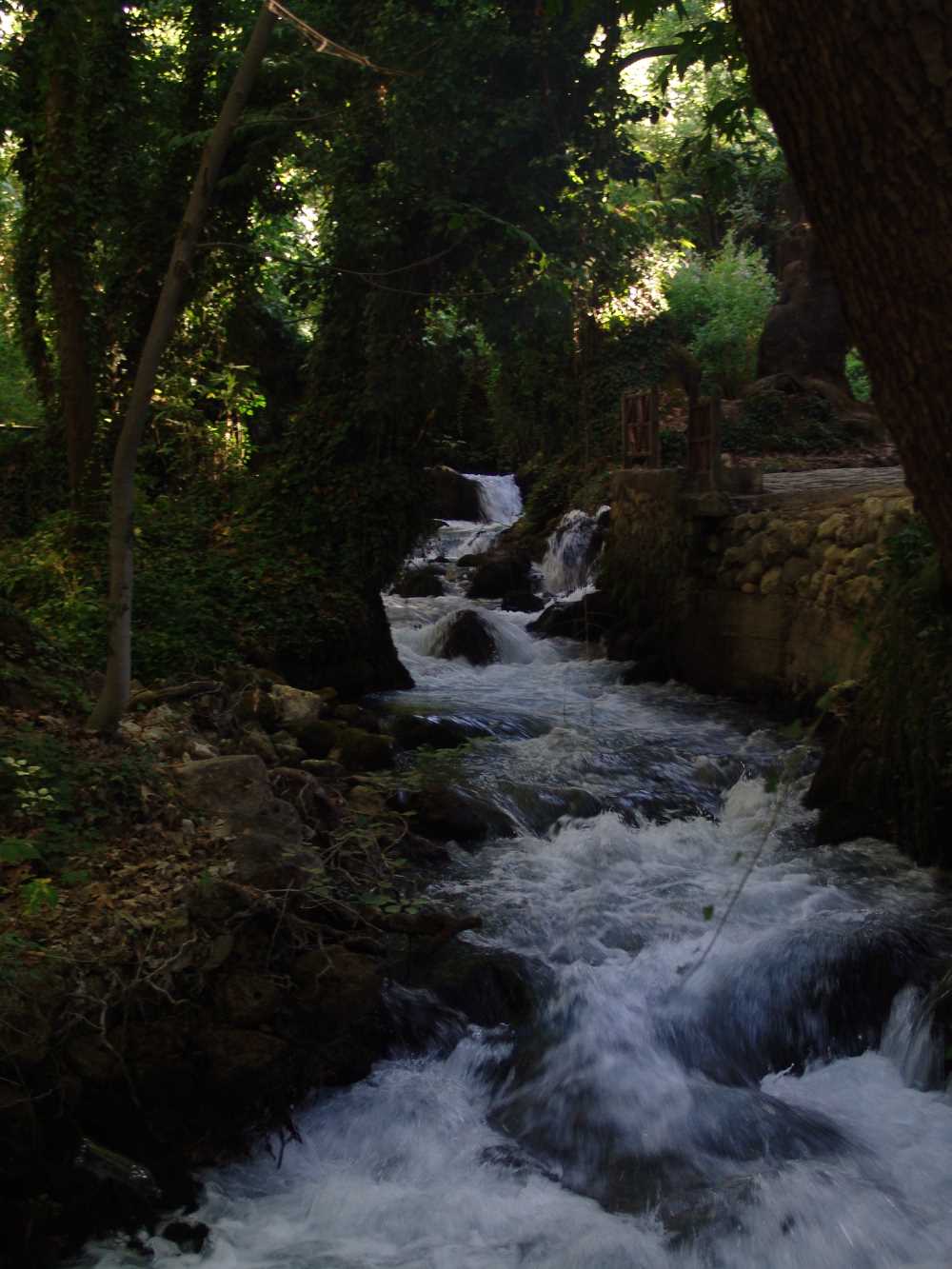 Zeyve Pazarı - Karaman