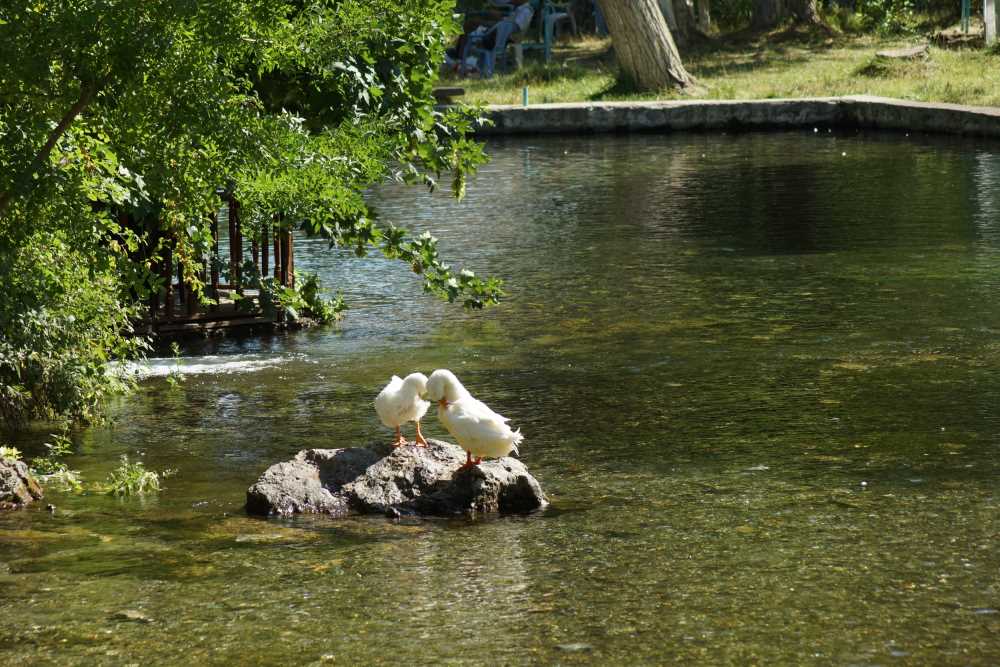 Sürgü Takaz Mesire Alanı - Malatya