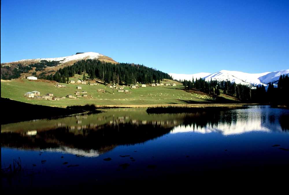 Gölyanı Obası Yaylası - Giresun