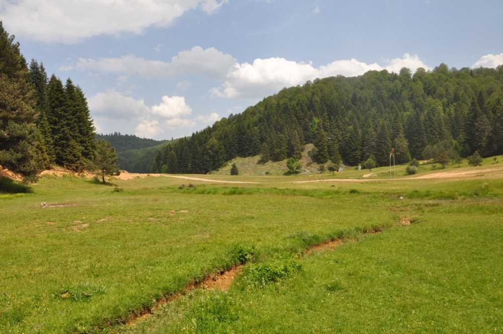 İnönü Yaylası-Kocaeli - Kocaeli