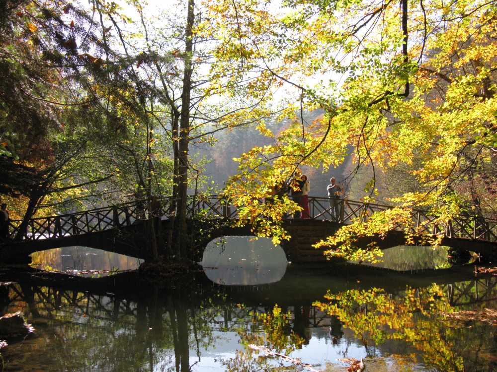 Yedigöller Milli Parkı - Bolu