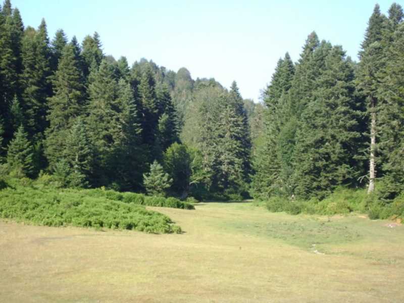 Belengerme Yaylası - Sakarya