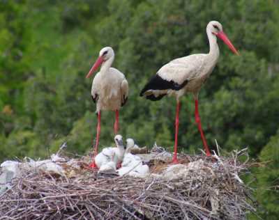 Beyşehir Leylekler Vadisi - Konya