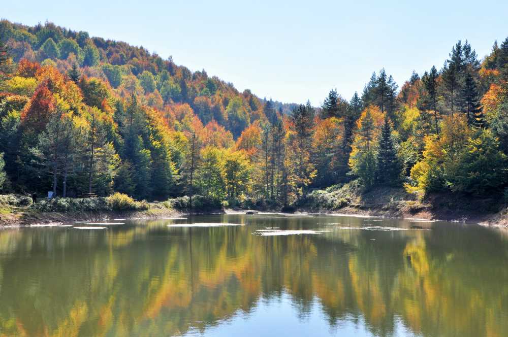Düzce'nin Gölleri - Düzce