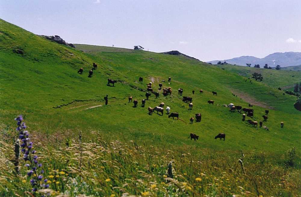 Almus Dumanlı Yaylası - Tokat