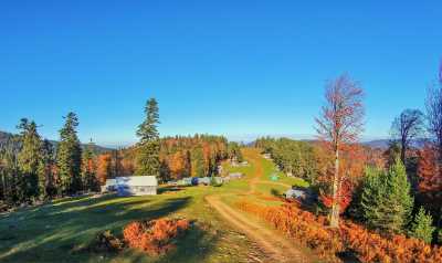 Kızık Yaylası - Düzce