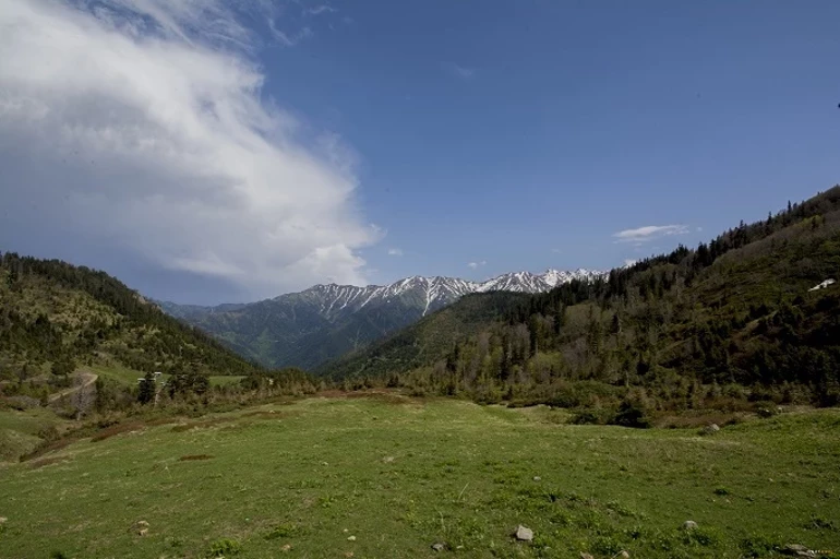Hatila Vadisi Milli Parkı - Artvin