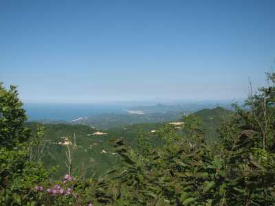 Yoroz Kent Ormanı - Ordu