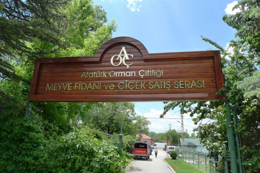 Atatürk Orman Çiftliği - Ankara