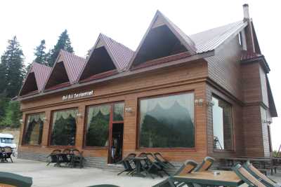 Eminem Pınarı / Yokuş Dibi Mesire Yeri - Ordu