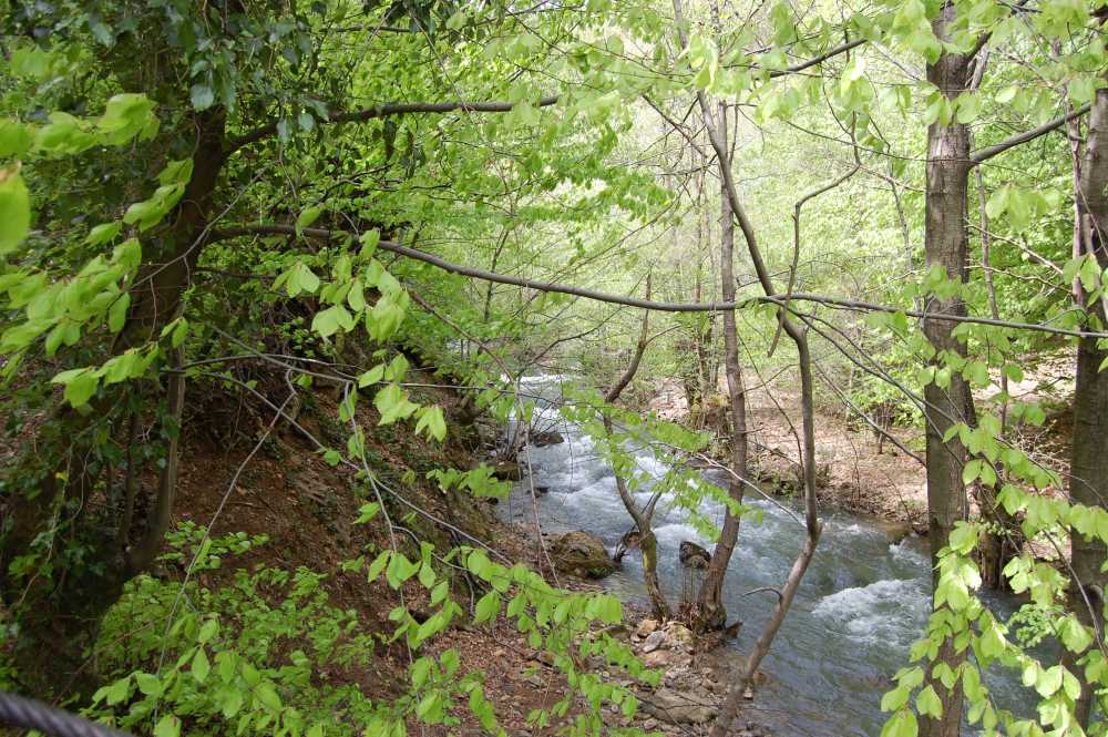 Yalova Kent Ormanı - Yalova