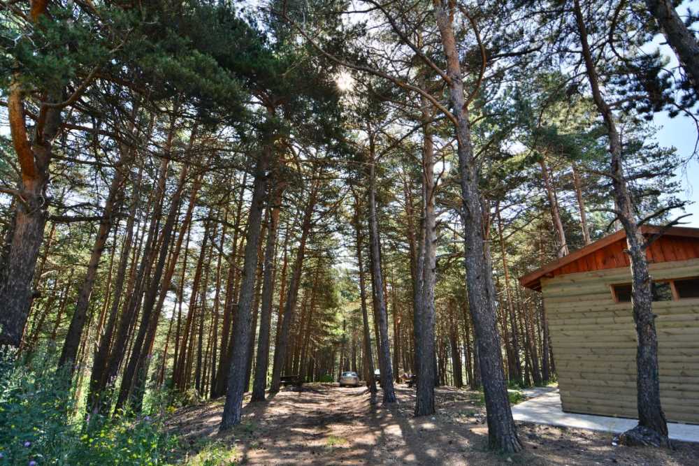 Çatak Tabiat Parkı - Çorum