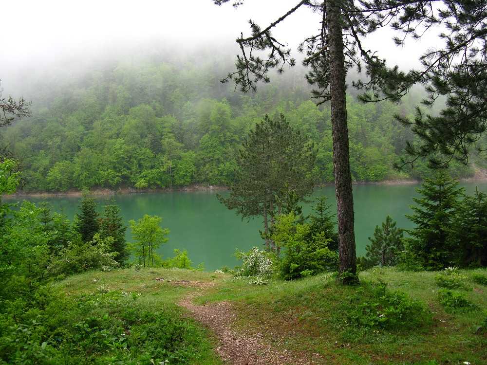 Sülüklügöl Tabiat Parkı - Bolu