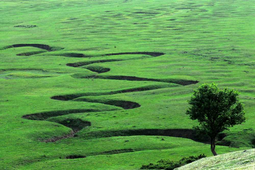 Karagöl Yaylası - Sakarya