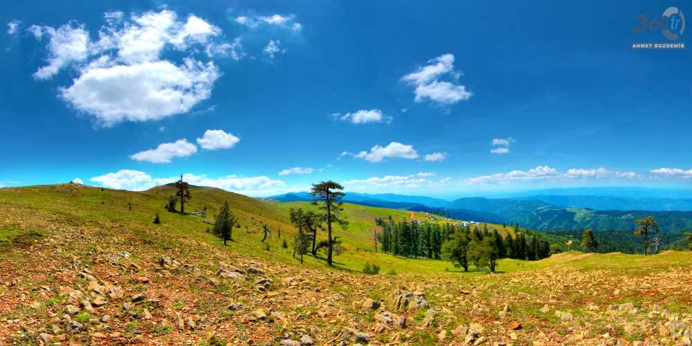 Düzce'nin Yaylaları - Düzce