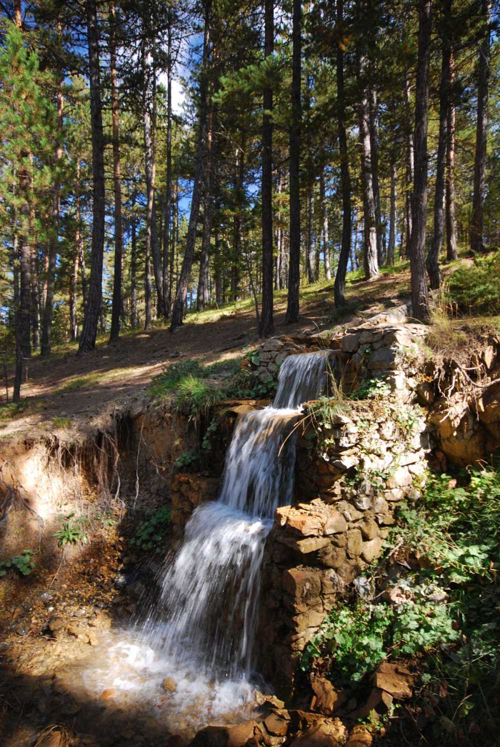 Abdullah Yaylası - Çorum