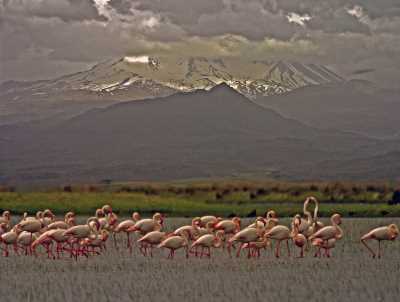 Sultan Sazlığı (Kuş Cenneti) - Kayseri
