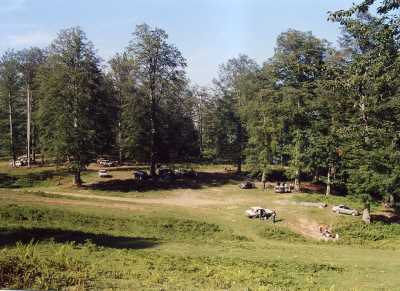 Korgan Yaylaları Ve Obaları - Ordu