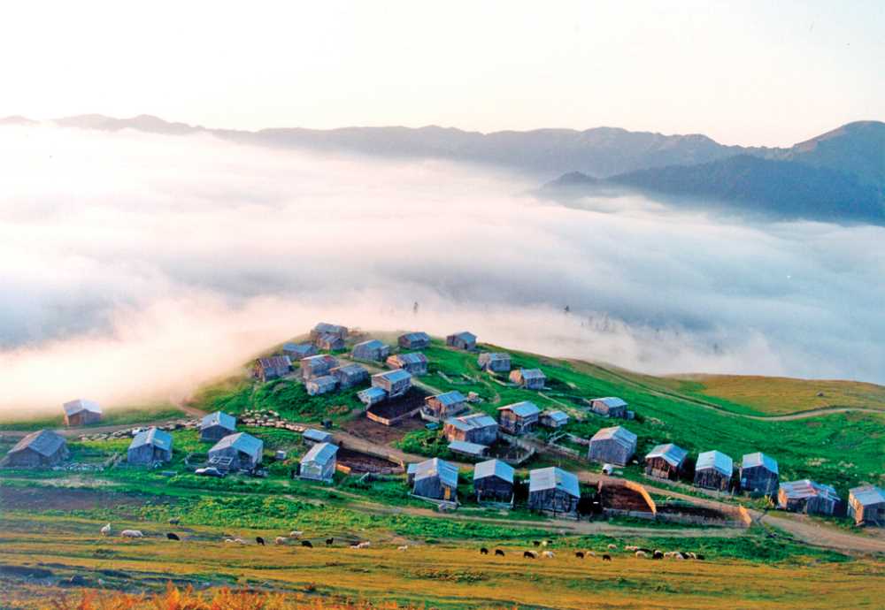 İrsa Yaylası - Artvin