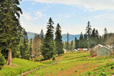 Sakarca Yaylası - Düzce