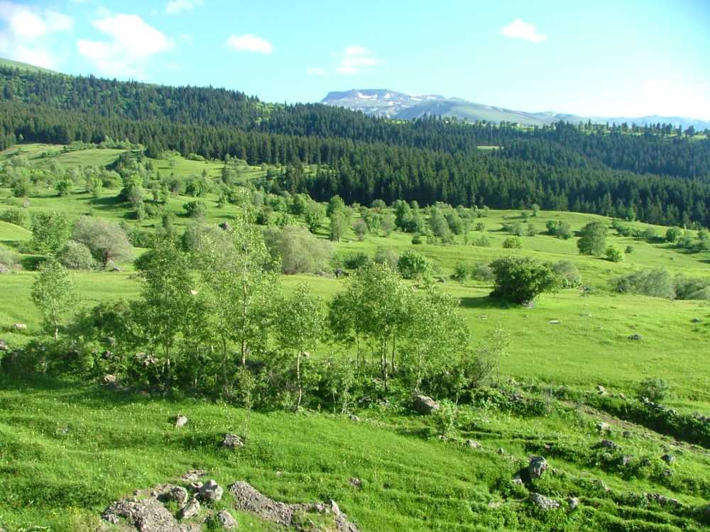 Bilbilan Yaylası - Artvin