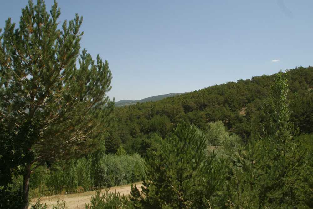 Akdağmadeni Kadıpınarı Yaylası - Yozgat