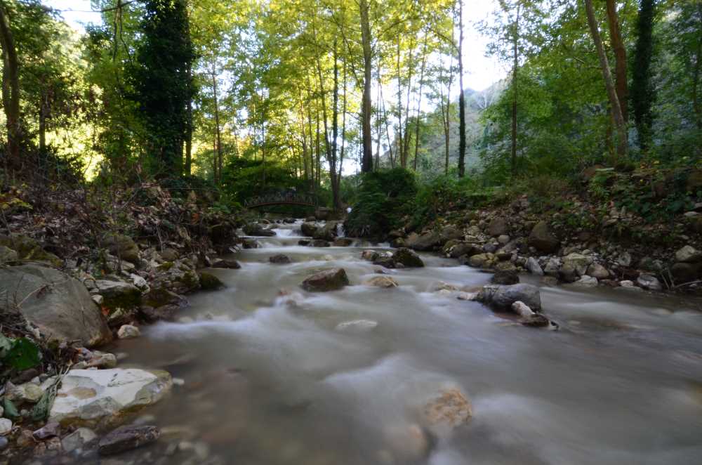 Kurugöl Kanyonu - Düzce