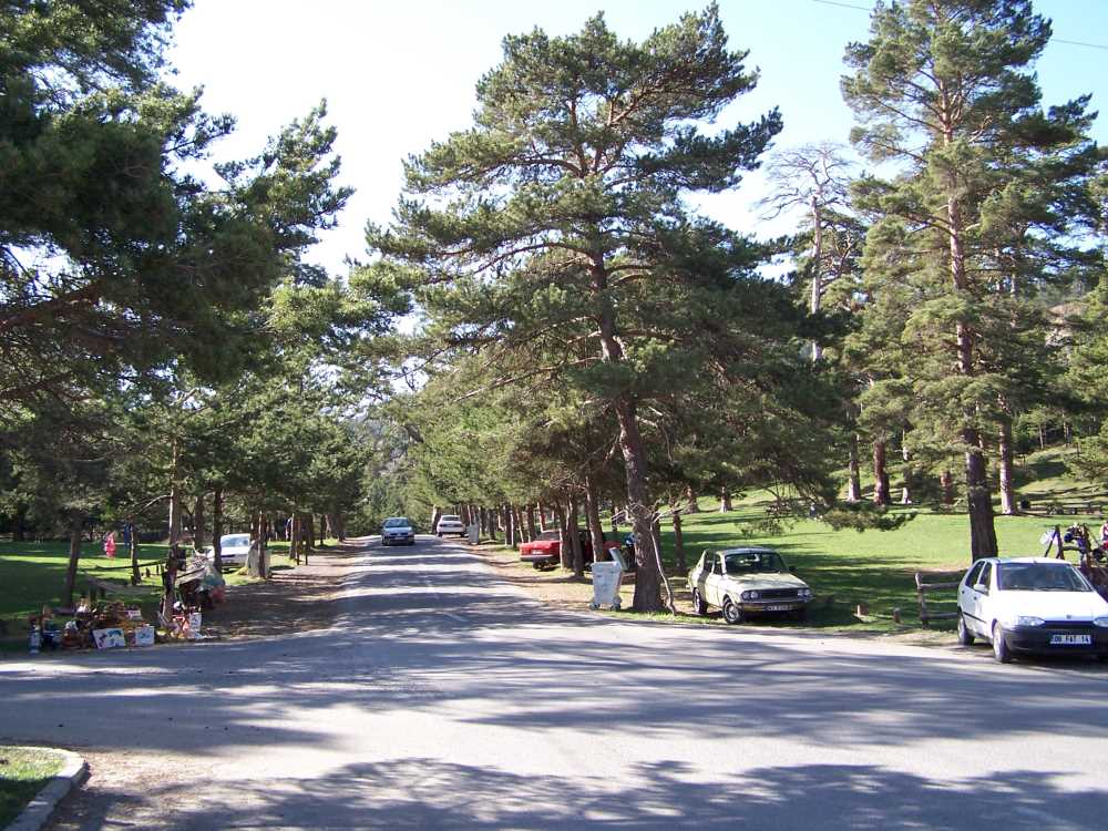 Gerede Esentepe Mesire Alanı - Bolu