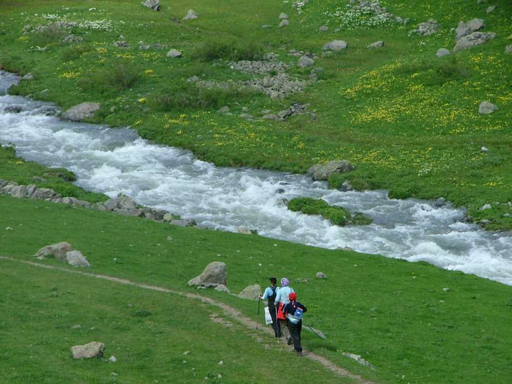 Yaylalar Köyü - Artvin