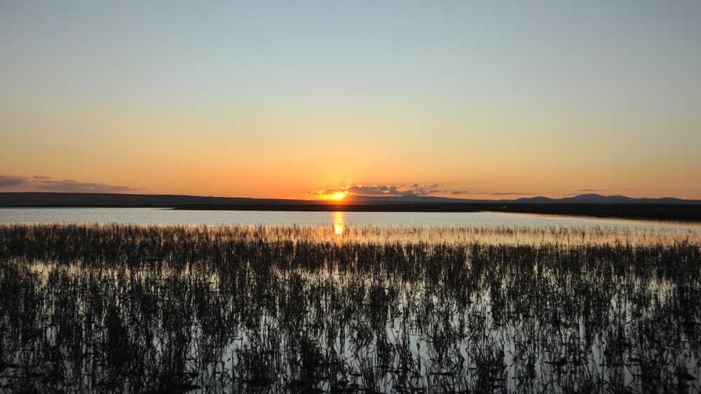 Kuyucuk Kuş Cenneti - Kars