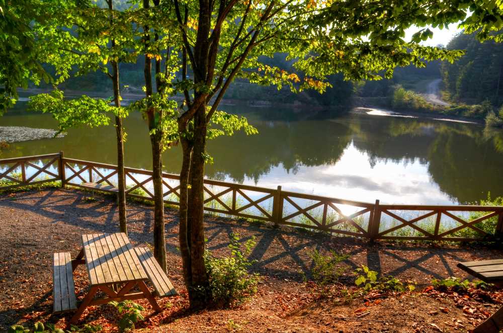 Çamlıpınar Göleti - Düzce