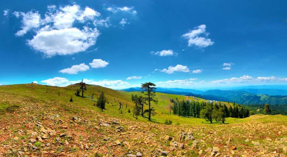 Kardüz Yaylası - Düzce