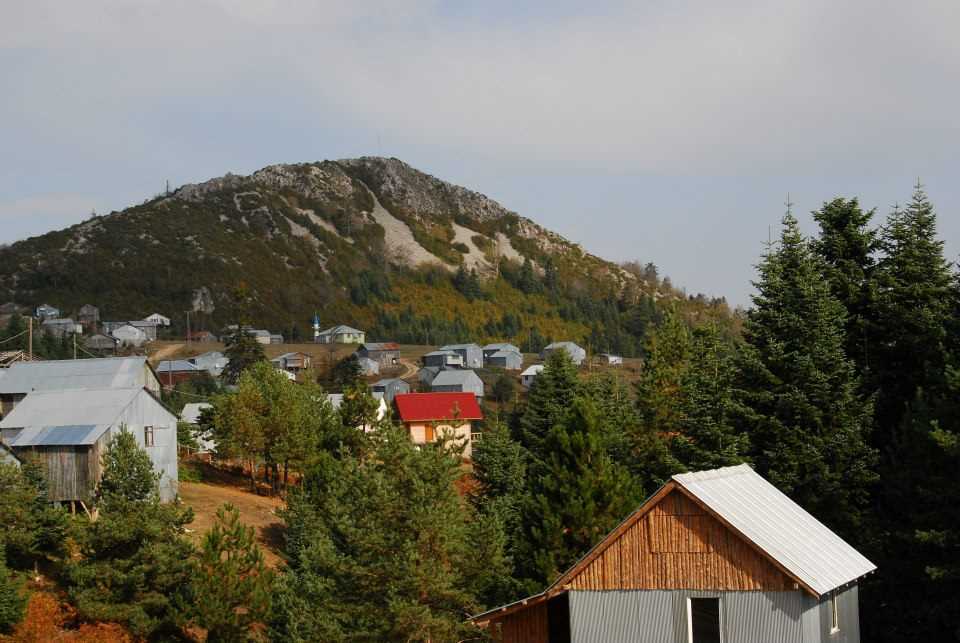 Acelle Yaylası - Sakarya