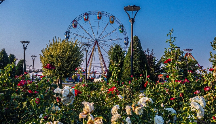 Yalova'da Gezilecek Yerler , Müzeler ve Ören Yerleri