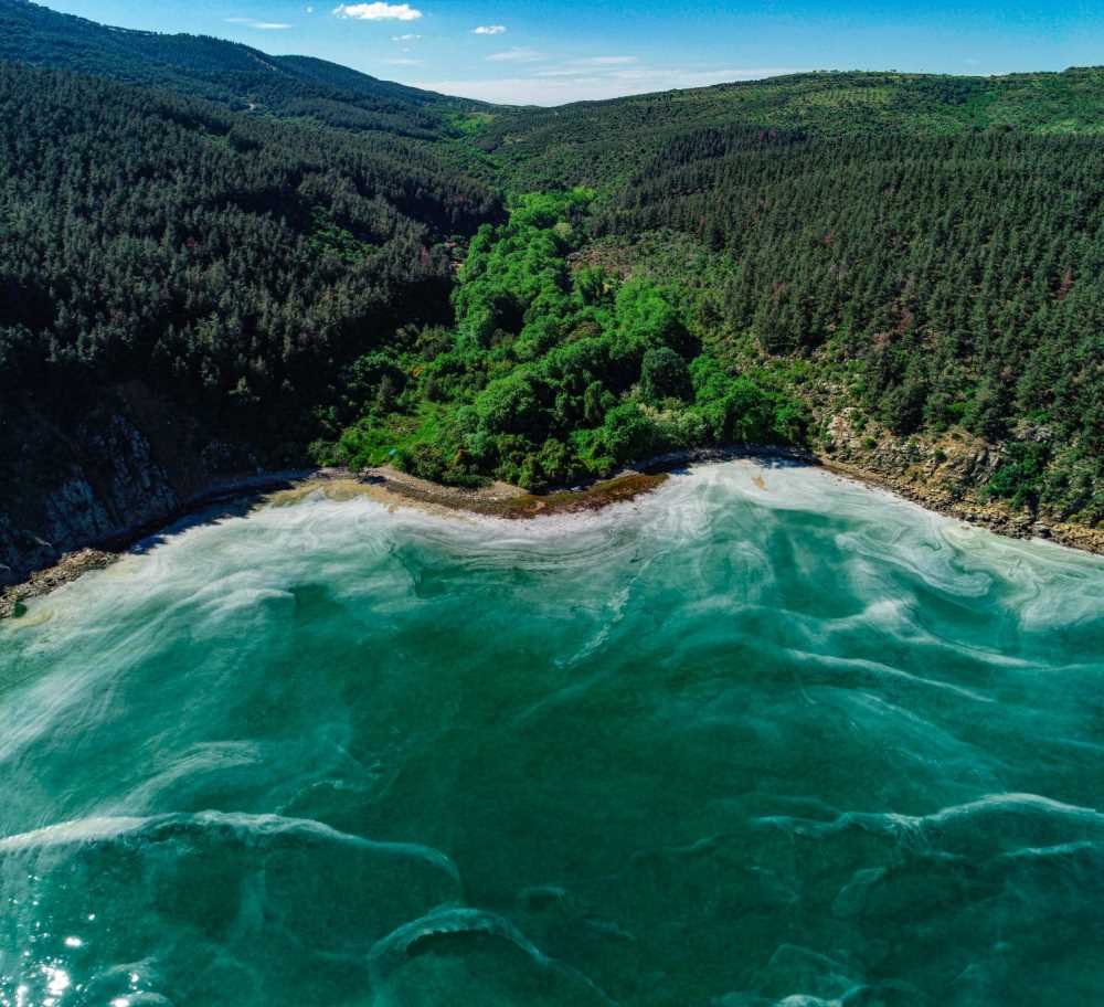 Dut Limanı Koyu - Tekirdağ