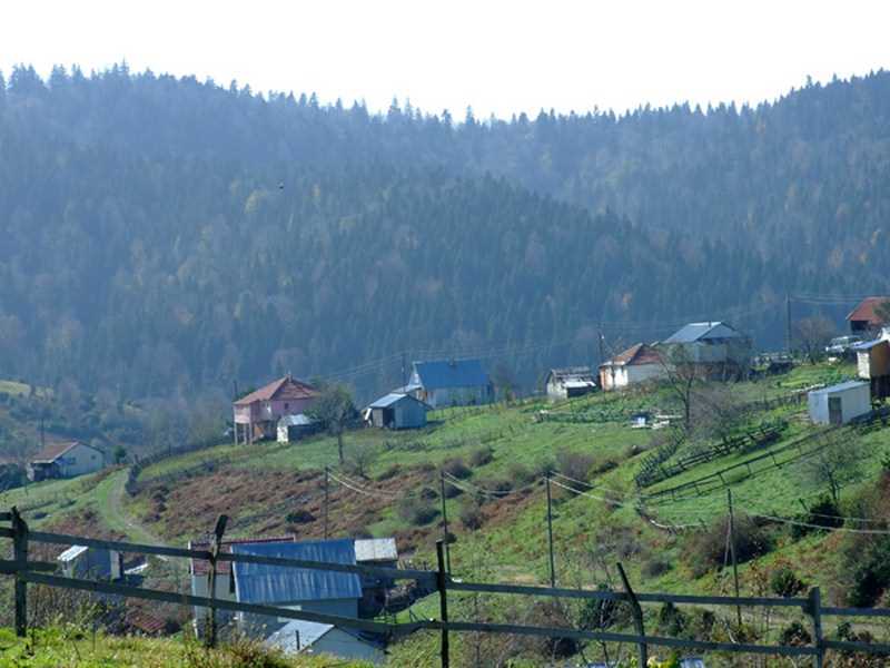 Sultanpınar Yaylası - Sakarya