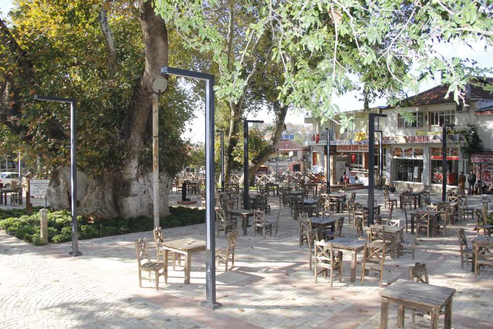 Bin Yıllık Tarihi Çınarlar - İzmir