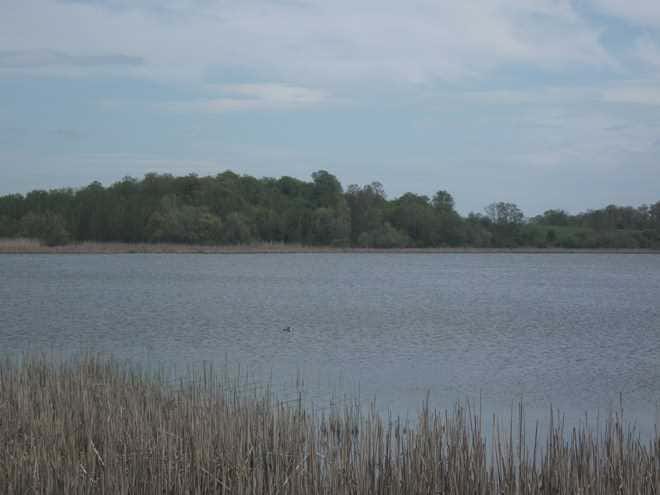 Küçük Akgöl - Sakarya