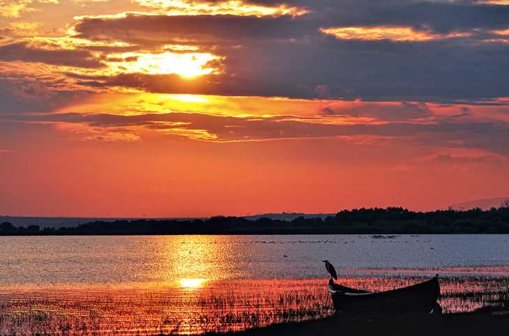 Kuş Cenneti Milli Parkı - Balıkesir