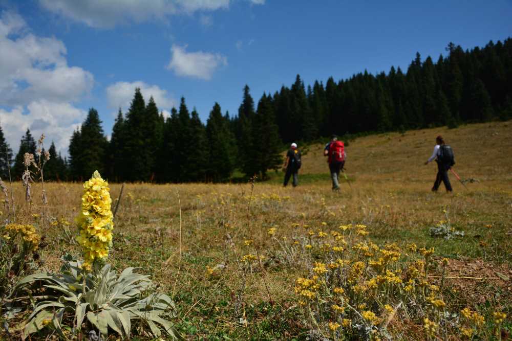 İskilip Yaylaları - Çorum