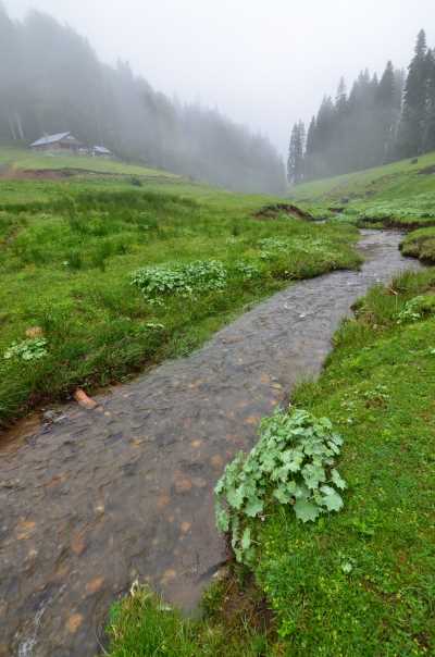 Derebalık Yaylası - Düzce
