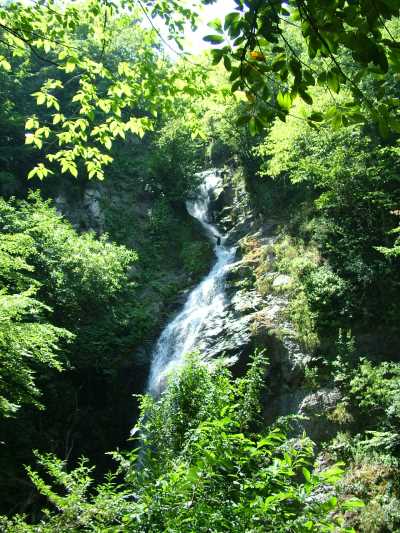 Aydınpınar Şelalesi Tabiat Parkı - Düzce