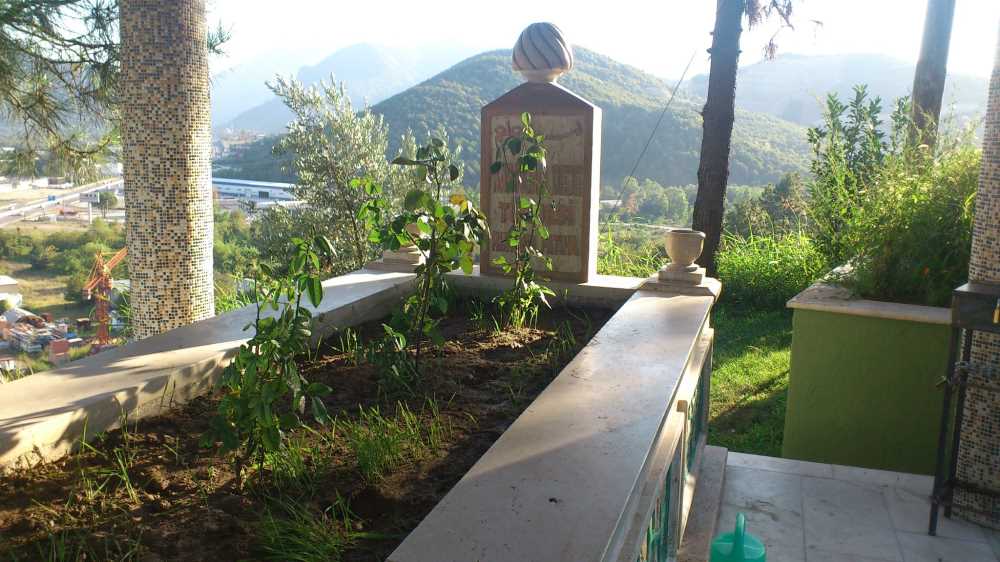 Karıncalı Dede Türbesi - Sakarya