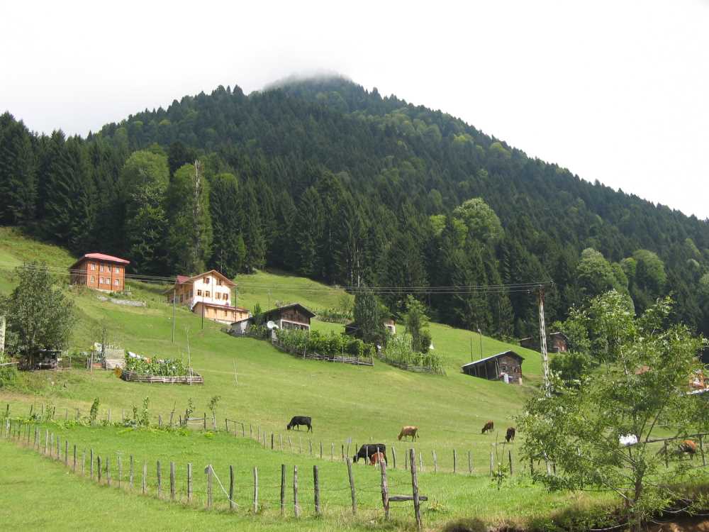 Ayder Yaylası - Rize