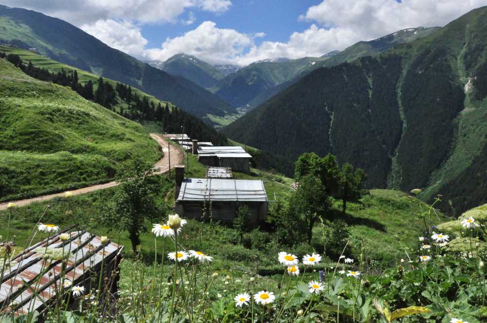 Meşeköy Yaylası - Rize