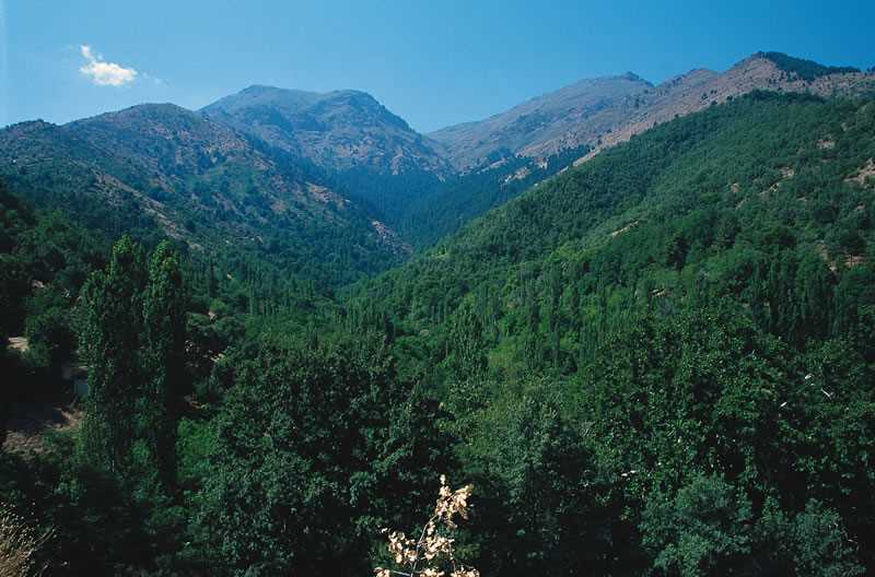 Tasdelen Yaylası - Denizli