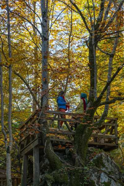Samandere Şelalesi Tabiat Anıtı - Düzce