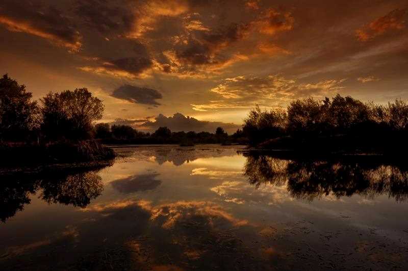 Kırmıtlı Kuş Cenneti - Osmaniye