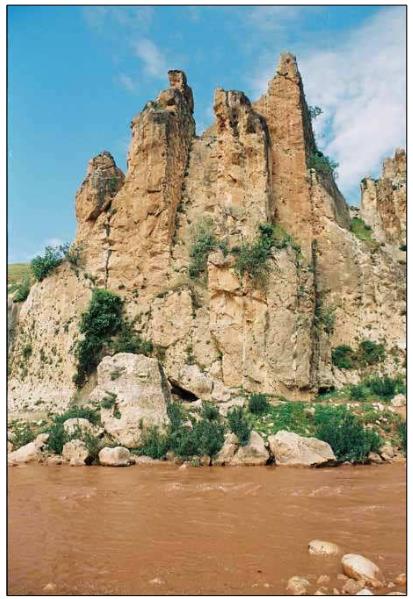 Kasrik Kaya Kabartması - Şırnak